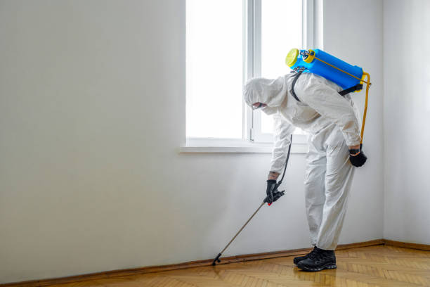 Best Affordable Pest Control Services  in Arbury Hls, IL