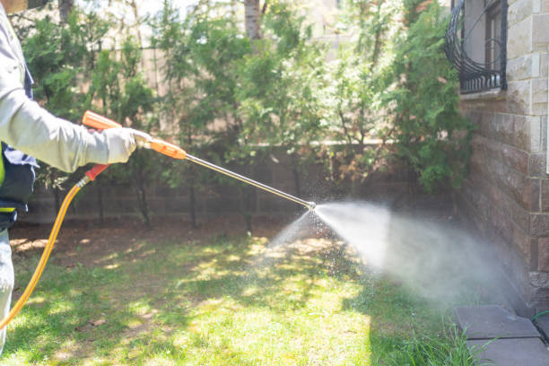 Best Pest Control Near Me  in Arbury Hls, IL