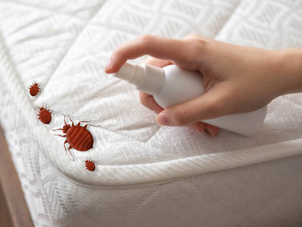 Professional Pest Control in Arbury Hills, IL